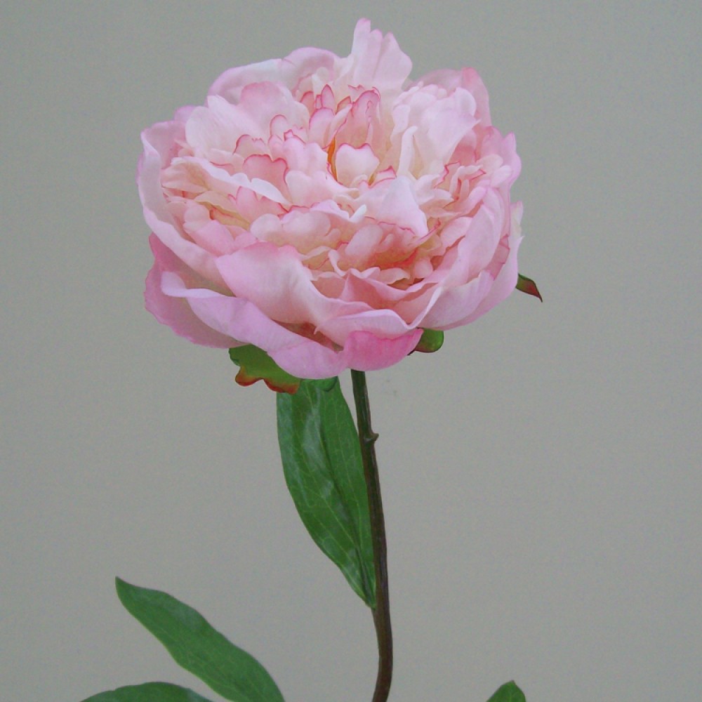 Real Touch Peony Flowers Pink Artificial Flowers